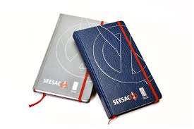 Image result for Seesac