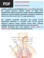 Image result for b%FD%E7ak anatomisi