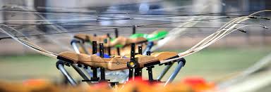 Image result for West Windsor Archers