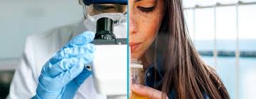 Image result for nestle tehron