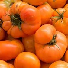 Afbeeldingsresultaat voor amana orange beefsteak tomato