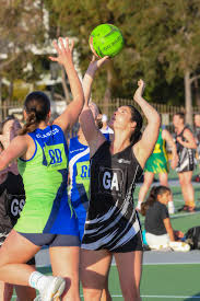 Image result for Wealden Netball Club