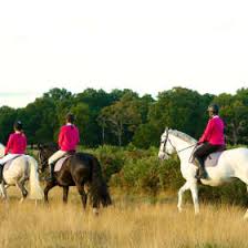 Image result for Elstead Riding Club