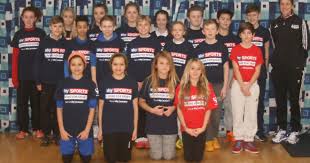 Image result for Henlow Netball Club