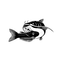 Image result for Ictalurus furcatus