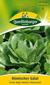 Image result for Römischer Salat