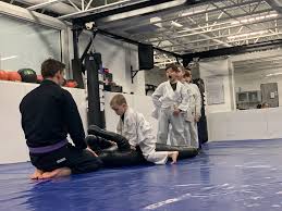 Image result for Professional  Martial Arts Academy