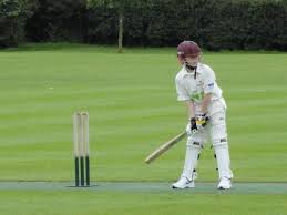 Image result for Narberth Cricket Club