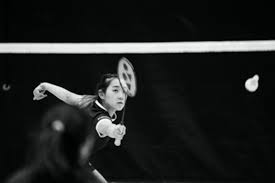 Image result for Durham City Badminton Club