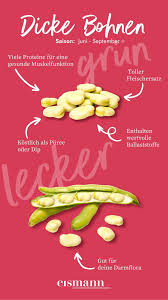 Image result for Dicke Bohnen