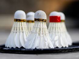 Image result for Shuttles Badminton Club (Frome)