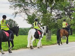 Image result for Bookham Riding School