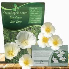 Attēlu rezultāti vaicājumam “Eschscholzia californica fruit”