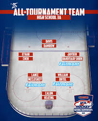 Image result for West Coast Wasps Skater Hockey Club