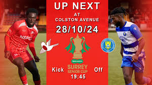 Image result for Epsom & Ewell Football Club