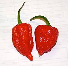 Afbeeldingsresultaat voor naga jolokia hot pepper