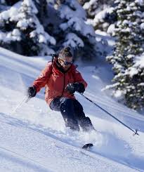 Image result for Gordon Skiers