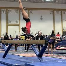 Image result for Sheredes Gymnastics Club