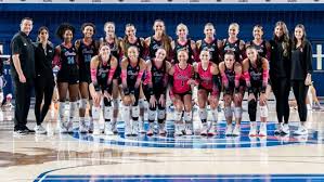 Image result for Ellesmere Port Eels Volleyball Club