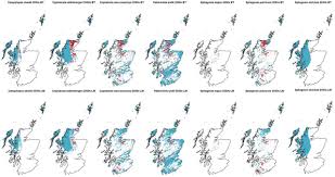 Attēlu rezultāti vaicājumam “Cephalozia loitlesbergeri”