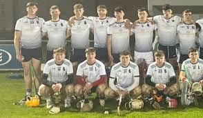Image result for University Of Limerick Gaa Hurling Club