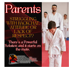 Image result for Colchester Wado Ryu Karate