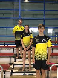 Image result for Swindon Dolphins