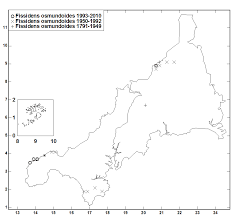 Attēlu rezultāti vaicājumam “Fissidens osmundoides”