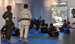 Image result for Precision Martial Arts