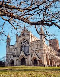 Image result for St Albans Ultimate