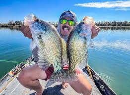 Image result for The Lancaster Fish