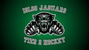 Image result for Bury Jaguars Hockey Club