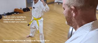 Image result for North Hykeham Tae Kwon Do Club