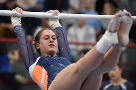 Image result for Wyre Forest School Of Gymnastics