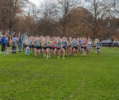 Image result for Deeside Aac