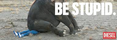 Image result for stupid diesel