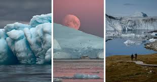 Image result for Ildblomkarse