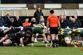 Image result for Rochford Hundred Rugby Club