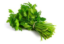 Image result for Koriander