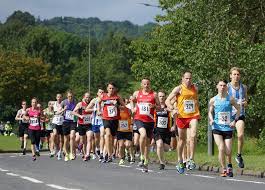 Image result for Billingham Marsh House Harriers