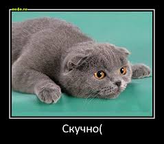 images?q=tbn:ANd9GcRtsb4AbONN5qNDy9g1NfajKW3seeWKEcVMDmY_6TsbasaK_MI