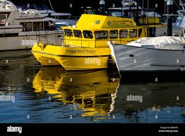 Image result for Cardiff Titans