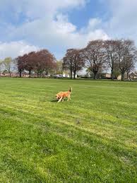 Image result for Wellingborough Swanspool Bowls Club