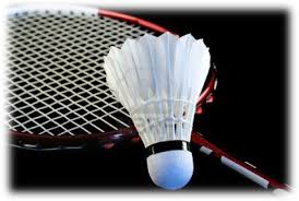 Image result for Silverleigh Junior Badminton Club
