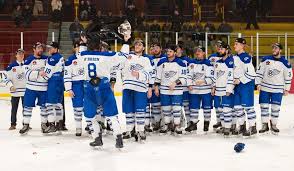 Image result for Perth Junior Ice Hockey Club