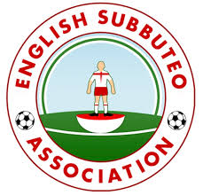 Image result for maiden Erlegh Subbuteo Club