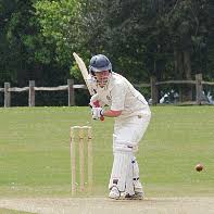 Image result for Buxted Park Cricket Club