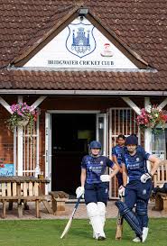 Image result for Buckhorn Weston Cricket Club