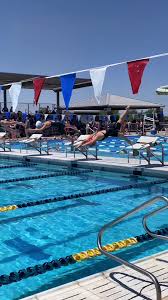 Image result for Swansea Finswimming Club