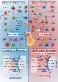 Image result for badalini tehron